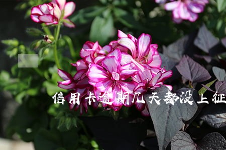 信用卡逾期几天都没上征信 信用卡逾期几天都没上征信