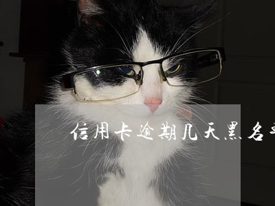 信用卡逾期几天黑名单