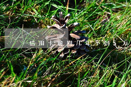 信用卡逾期几年不到5万本金 信用卡逾期几年不到5万本金