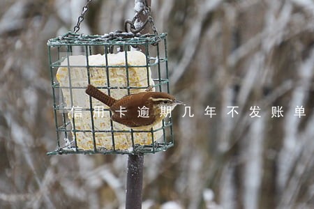 信用卡逾期几年不发账单了
