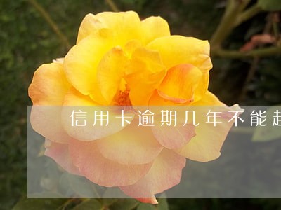 信用卡逾期几年不能起诉了 信用卡逾期几年不能起诉了