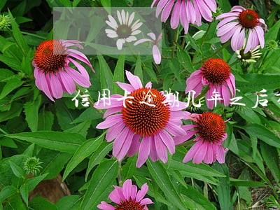 信用卡逾期几年之后才能贷款 信用卡逾期几年之后才能贷款