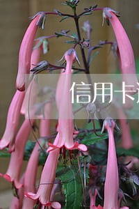 信用卡逾期几年了一分没还 信用卡逾期几年了一分没还