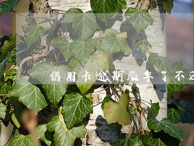 信用卡逾期几年了不还