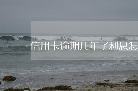 信用卡逾期几年了利息怎么算 信用卡逾期几年了利息怎么算