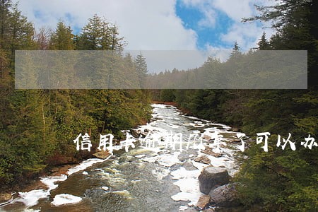 信用卡逾期几年了可以办理护照吗 信用卡逾期几年了可以办理护照吗