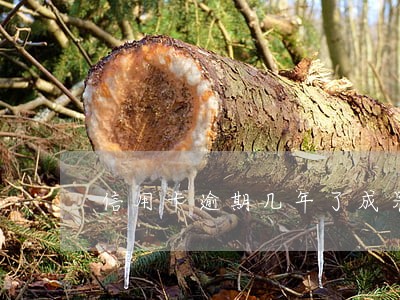 信用卡逾期几年了成呆账了