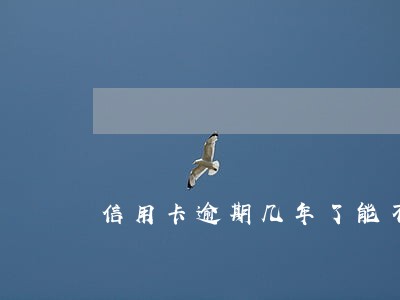 信用卡逾期几年了能不能坐飞机 信用卡逾期几年了能不能坐飞机