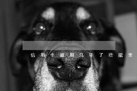 信用卡逾期几年了还能坐高铁吗