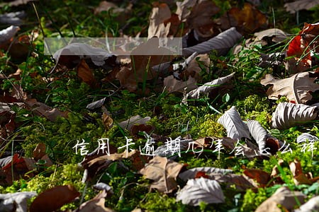 信用卡逾期几年会怎么样