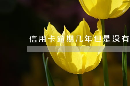信用卡逾期几年但是没有上征信 信用卡逾期几年但是没有上征信