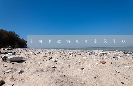 信用卡逾期几年变成呆账 信用卡逾期几年变成呆账