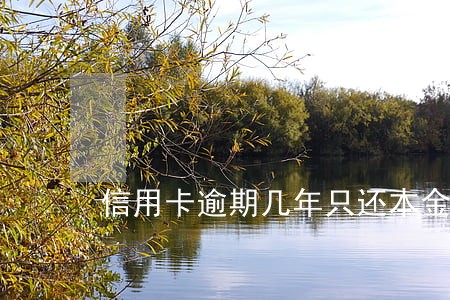 信用卡逾期几年只还本金行吗 信用卡逾期几年只还本金行吗
