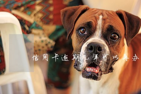信用卡逾期几年可以再办理 信用卡逾期几年可以再办理