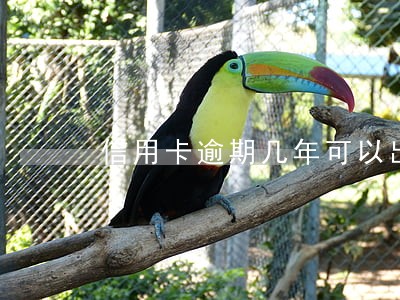 信用卡逾期几年可以出国吗 信用卡逾期几年可以出国吗