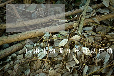 信用卡逾期几年可以注销