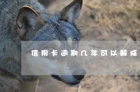 信用卡逾期几年可以解除