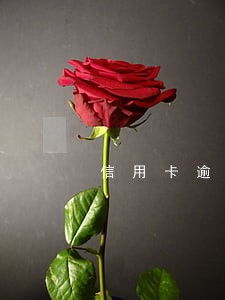 信用卡逾期几年后可以分期嘛 信用卡逾期几年后可以分期嘛