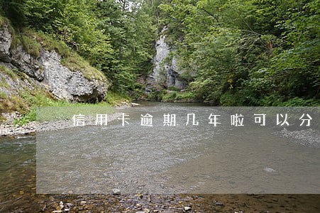 信用卡逾期几年啦可以分月还吗