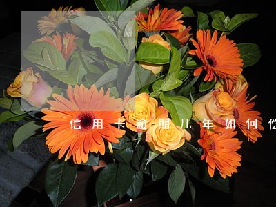 信用卡逾期几年如何偿还 信用卡逾期几年如何偿还