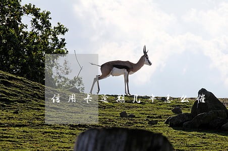 信用卡逾期几年怎么催