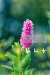 信用卡逾期几年怎么催收 信用卡逾期几年怎么催收