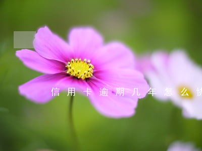 信用卡逾期几年怎么协商还本金