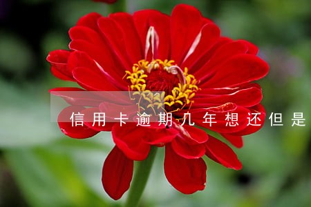 信用卡逾期几年想还但是利息高 信用卡逾期几年想还但是利息高