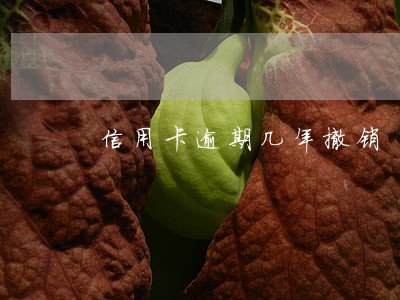 信用卡逾期几年撤销 信用卡逾期几年撤销