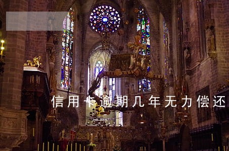 信用卡逾期几年无力偿还利息 信用卡逾期几年无力偿还利息
