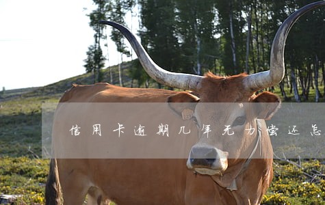 信用卡逾期几年无力偿还怎么处理