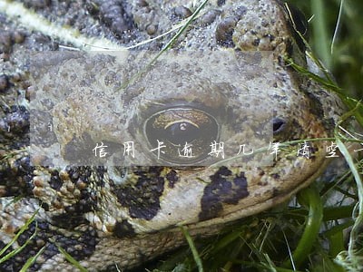 信用卡逾期几年清空一次 信用卡逾期几年清空一次