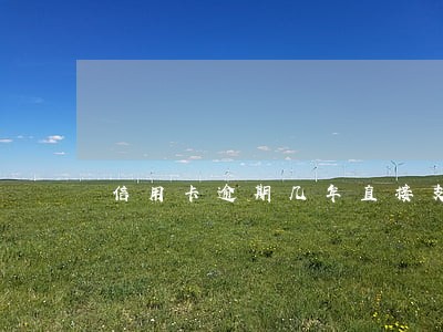 信用卡逾期几年直接支付宝还 信用卡逾期几年直接支付宝还
