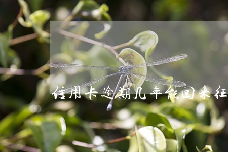 信用卡逾期几年能回来征信 信用卡逾期几年能回来征信