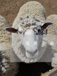 信用卡逾期几年能解决 信用卡逾期几年能解决