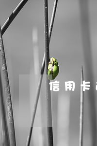 信用卡逾期几年能还本金吗