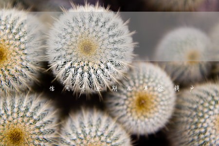 信用卡逾期几年被销户 信用卡逾期几年被销户