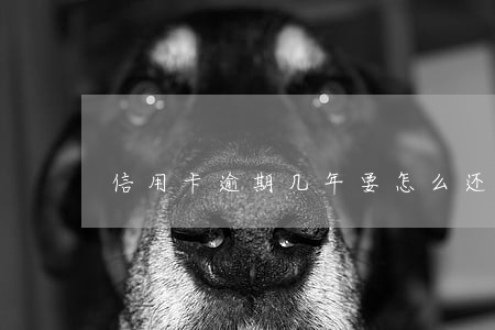 信用卡逾期几年要怎么还 信用卡逾期几年要怎么还