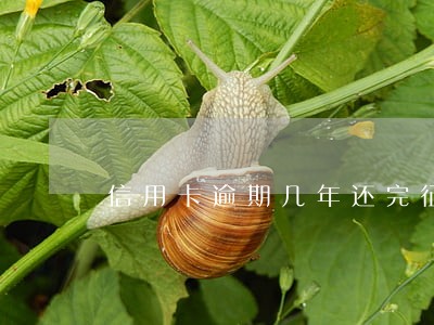 信用卡逾期几年还完征信 信用卡逾期几年还完征信
