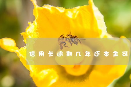 信用卡逾期几年还本金可以吗 信用卡逾期几年还本金可以吗