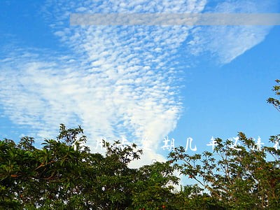 信用卡逾期几年还清征信
