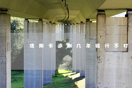信用卡逾期几年银行不打电话了 信用卡逾期几年银行不打电话了