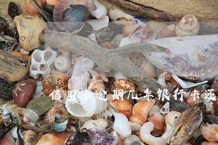 信用卡逾期几年银行卡还能用 信用卡逾期几年银行卡还能用