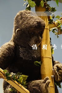 信用卡逾期几张会坐牢吗