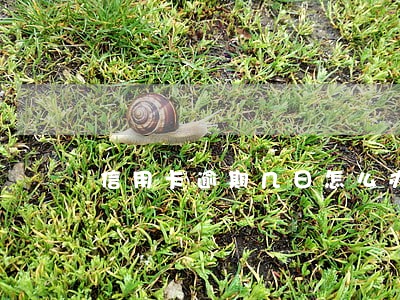 信用卡逾期几日怎么办 信用卡逾期几日怎么办