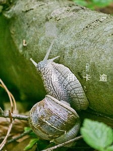 信用卡逾期几日进信用 信用卡逾期几日进信用