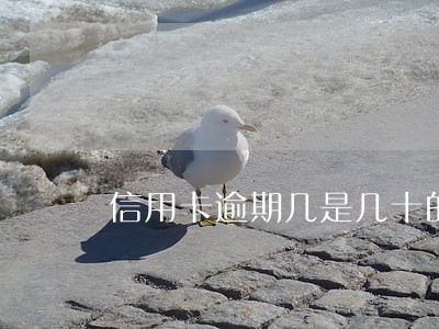 信用卡逾期几是几十的还 信用卡逾期几是几十的还