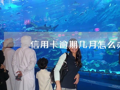 信用卡逾期几月怎么办 信用卡逾期几月怎么办