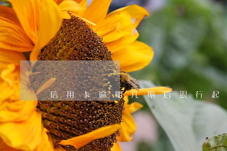 信用卡逾期几期后银行起诉 信用卡逾期几期后银行起诉