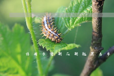 信用卡逾期几期就黑名单 信用卡逾期几期就黑名单